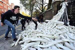 Группа демонстрантов в рамках протестной акции блокировала работу посольства