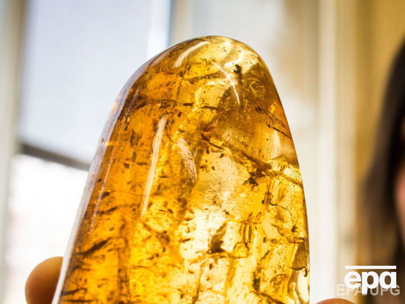 Конфликт возник во время обсуждения вопросов разработки месторождений янтаря в Ровенской области