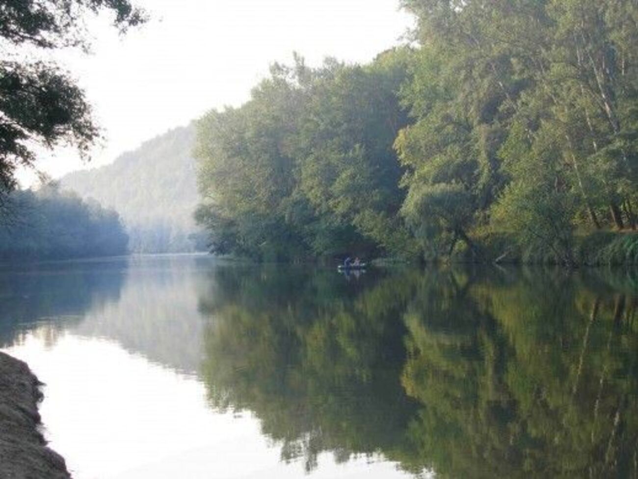 Экологи подсчитывают ущерб, нанесенный окружающей среде