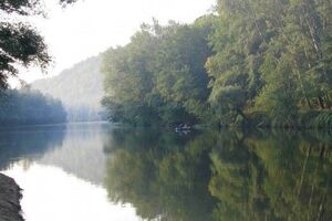 Экологи подсчитывают ущерб, нанесенный окружающей среде