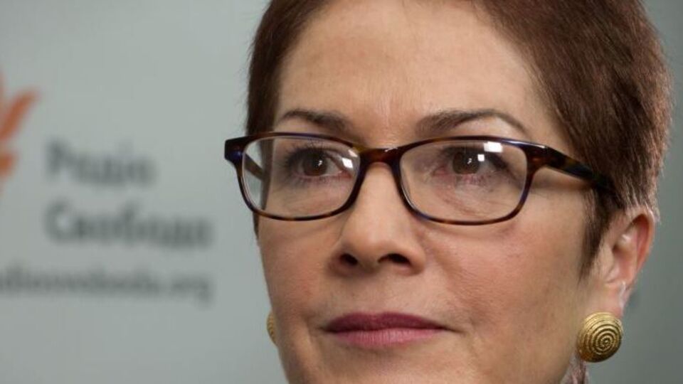 Йованович подчеркнула, что местные выборы на Донбассе должны пройти по украинскому законодательству и в соответствии со стандартами ОБСЕ