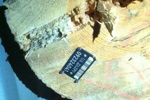 В настоящее время товары арестованы