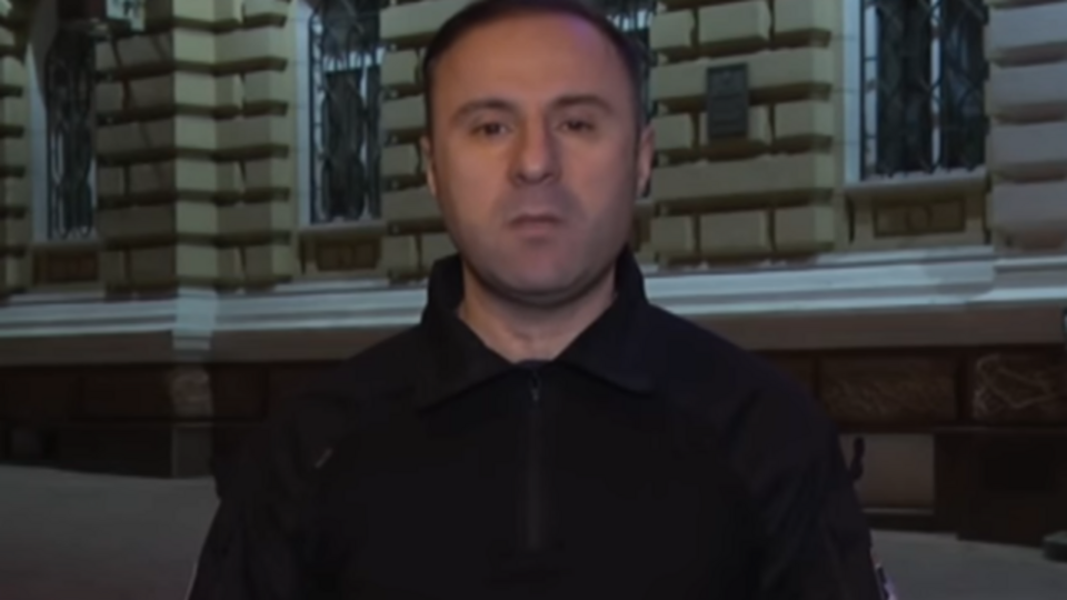 Лорткипанидзе объявил об отставке