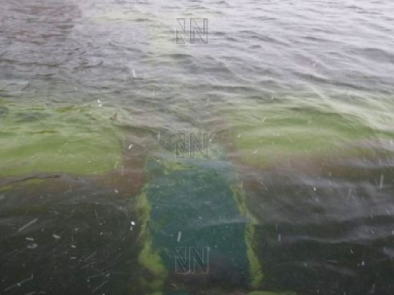 Причиной аварии самолета называют обледенение винта