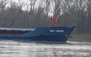 В отношении капитана и членов экипажа составлены протоколы об админнарушениях