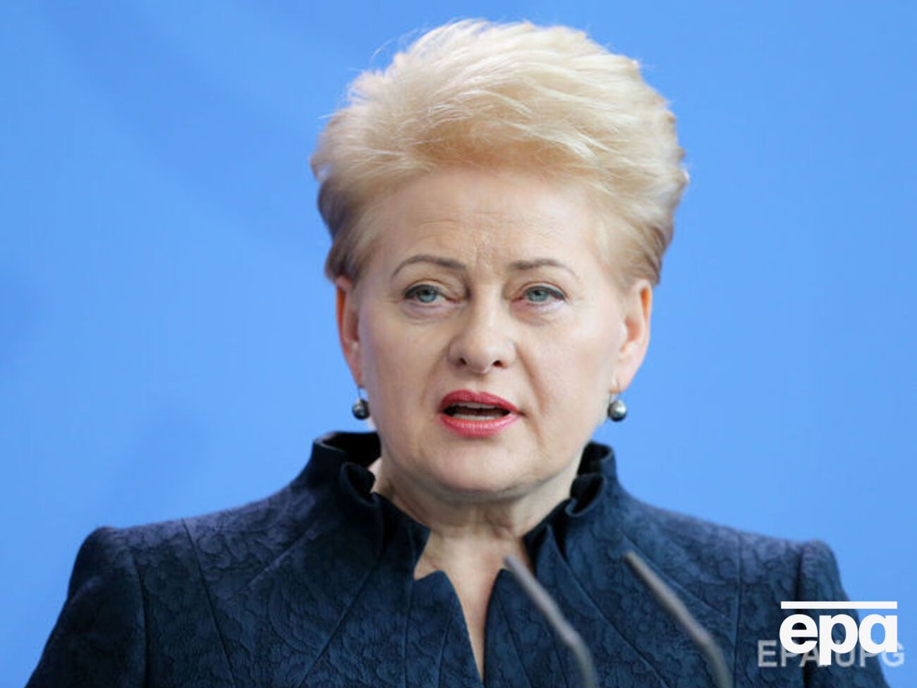 Грибаускайте пообещала Украине поддержку в вопросе безвиза и ассоциации с ЕС