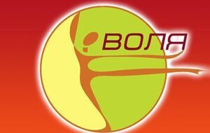 Доступ к сервисам "Воли" частично восстановлен