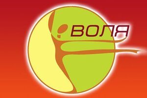 Доступ к сервисам "Воли" частично восстановлен