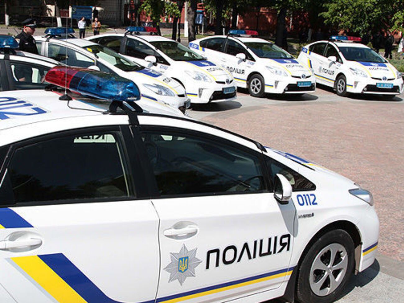 Полиция: Напавшие на эксперта ЕС задержаны