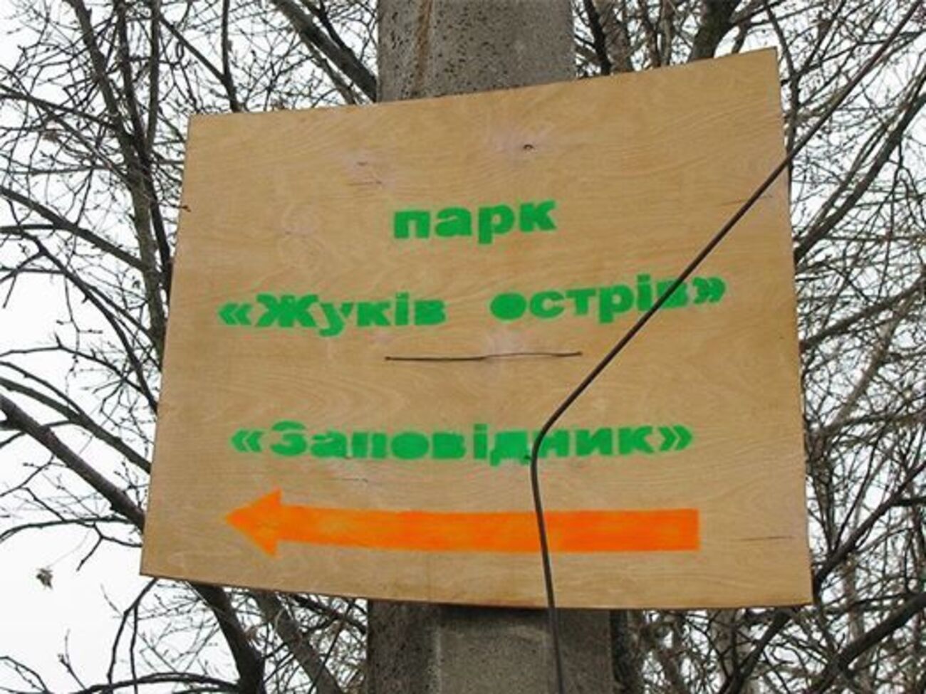 В прокуратуре отметили, что застройка земель заказника грозит его уничтожением
