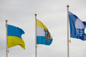 В конкурсе на пост губернатора Одесской области будут участвовать 30 кандидатов