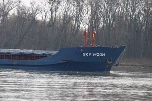 Цаплиенко: В устье Дуная арестовано судно Sky moon. Хозяин – румын. Груз – сода
