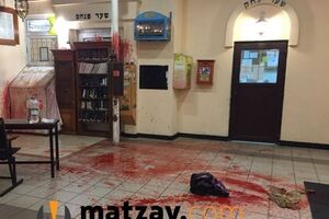 Сегодня в Умани неизвестные залили синагогу красной краской и положили голову свиньи