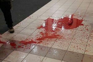 Вчера ночью синагогу облили красной краской и бросили голову свиньи с вырезанной свастикой