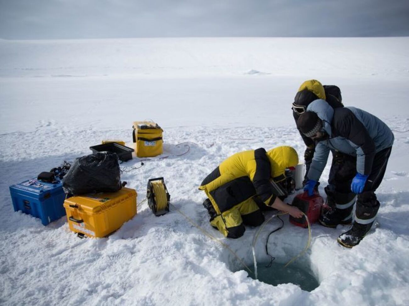 Австралийские ученые готовятся снять уникальные кадры