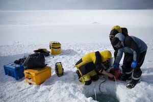 Австралийские ученые готовятся снять уникальные кадры