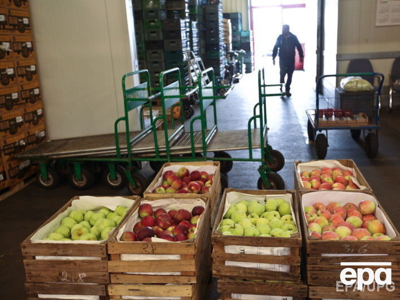 В РФ подсчитали количество уничтоженных продуктов