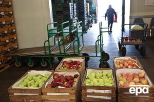 В РФ подсчитали количество уничтоженных продуктов