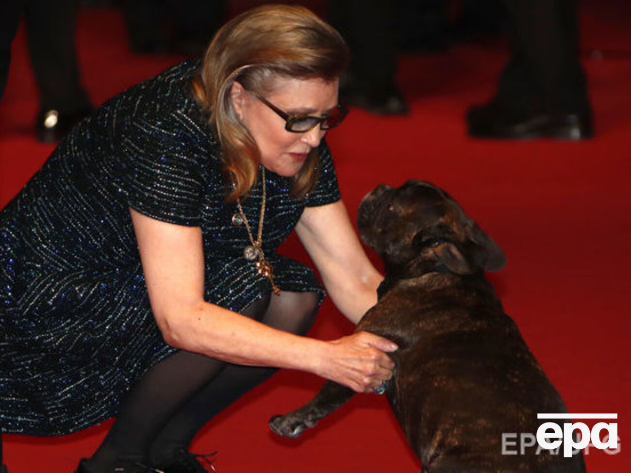 Фишер приходила на светские мероприятия со своим питомцем