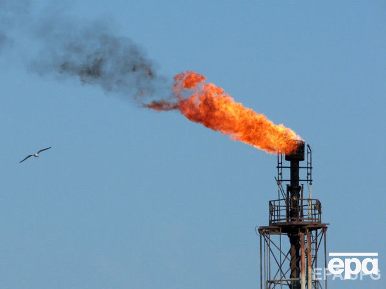По мнению Новака, цена на нефть в течение следующего года составит $55&ndash;60 за баррелей