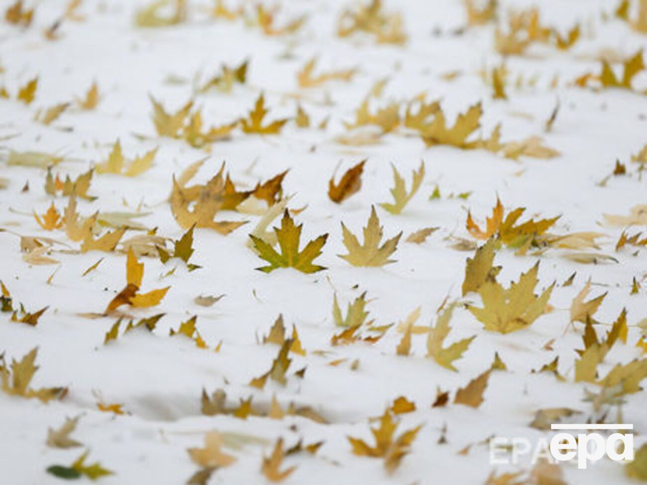 Укргидрометцентр: Ночью ожидается сильный снег на Левобережье Украины