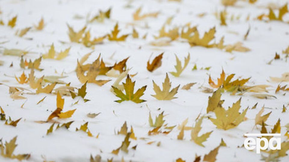 Укргидрометцентр: Ночью ожидается сильный снег на Левобережье Украины