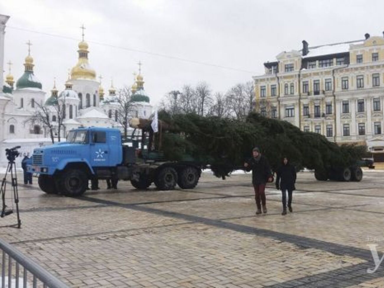 Главную елку Украины везли из Ивано-Франковской области в Киев 18 часов