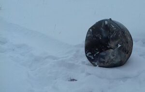 От местного жителя поступила информация о металлическом предмете круглой формы