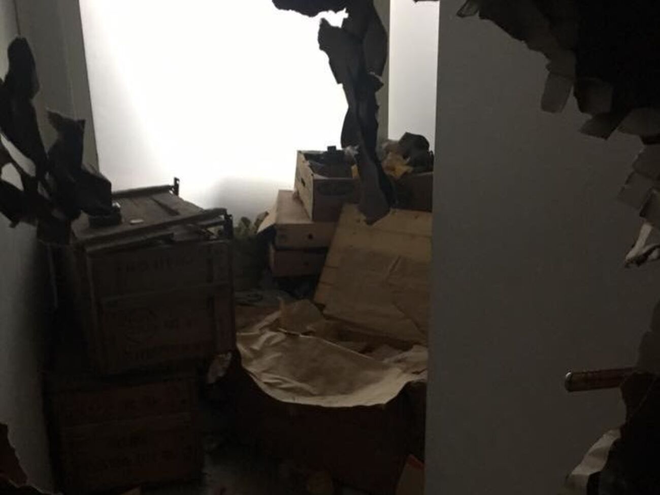 В офисе ничего не тронули