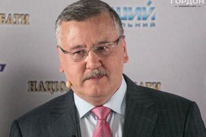 Гриценко: Видно, что была несогласованность между действиями различных полицейских подразделений