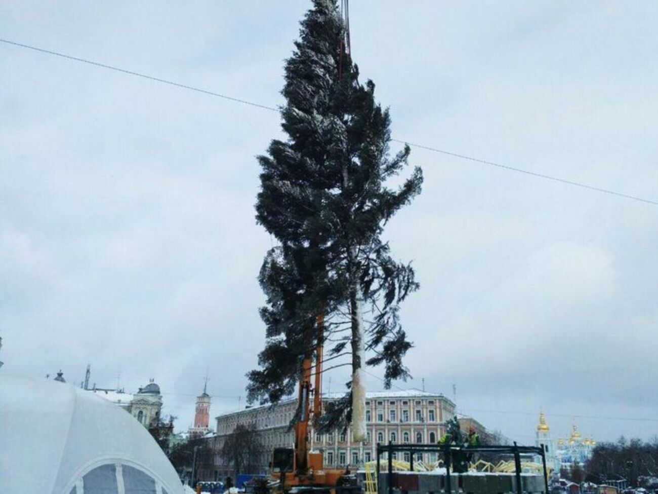 В столице установили новогоднюю елку