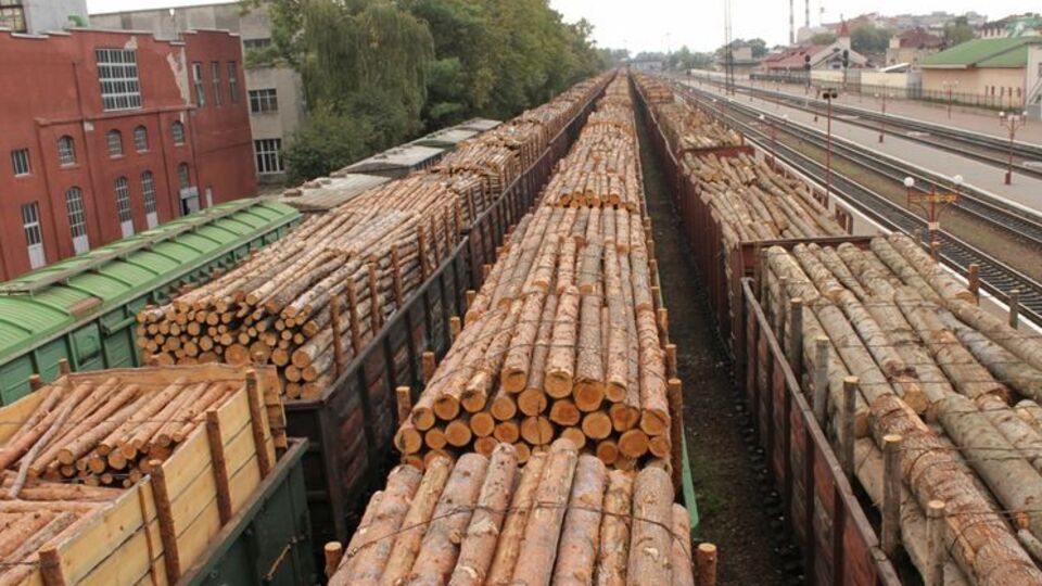 В ЕС отметили, что понимают беспокойство граждан Украины, которые заботятся об украинских лесах и выступают против их неконтролируемой вырубки