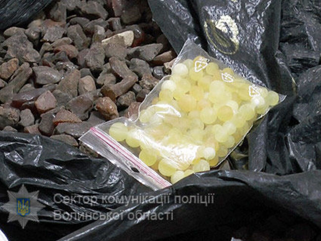 Полиция в Луцке изъяла 100 кг янтаря