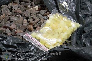 Полиция в Луцке изъяла 100 кг янтаря