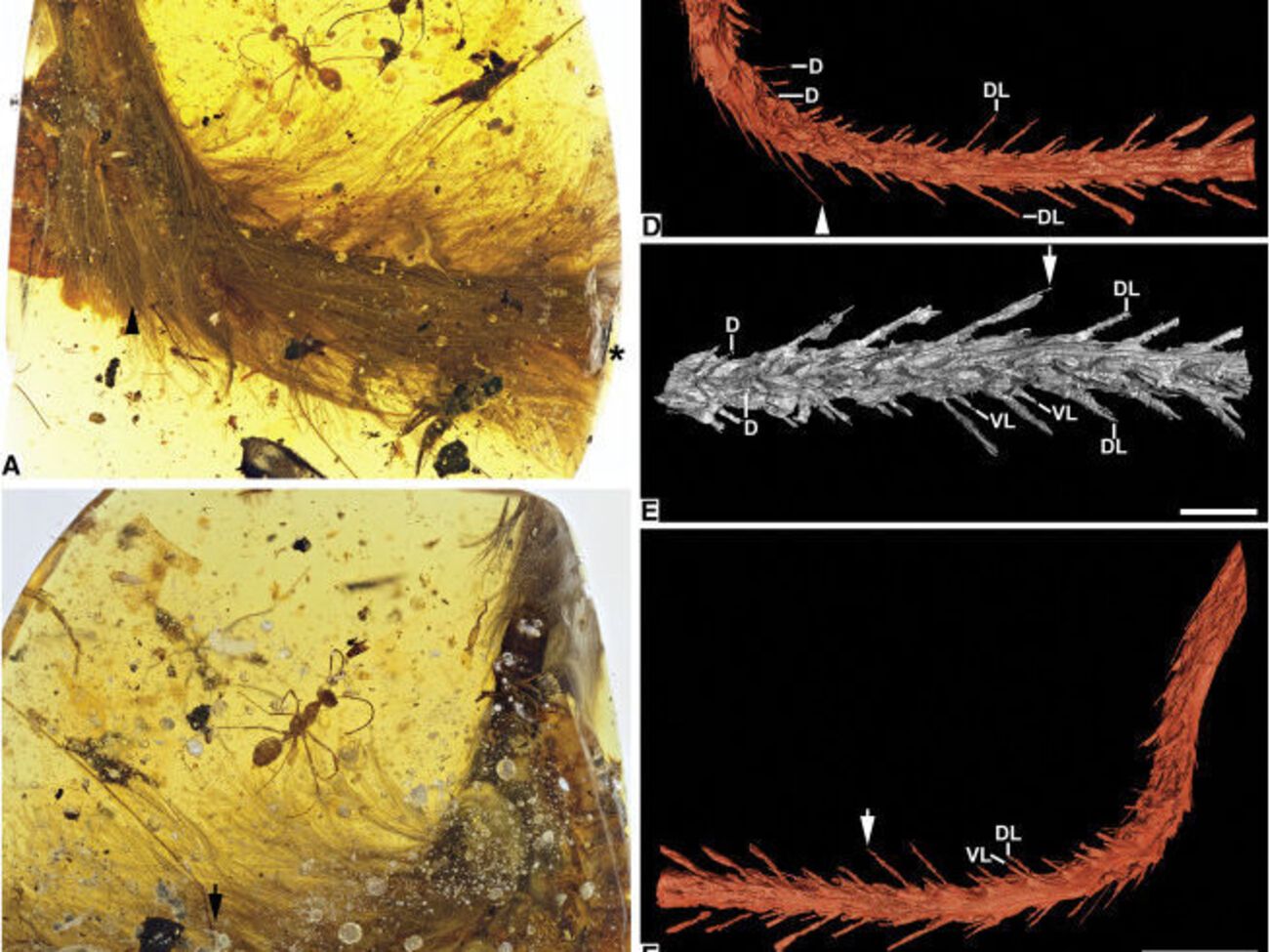 Ученые считают, что застрявший в смоле динозавр погиб