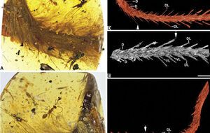 Ученые считают, что застрявший в смоле динозавр погиб