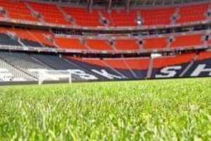 Фракция "Самопоміч" приняла решение выразить недоверие нынешнему правительству