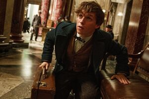 Редмэйн исполнит роль зоолога в предыстории поттерианы