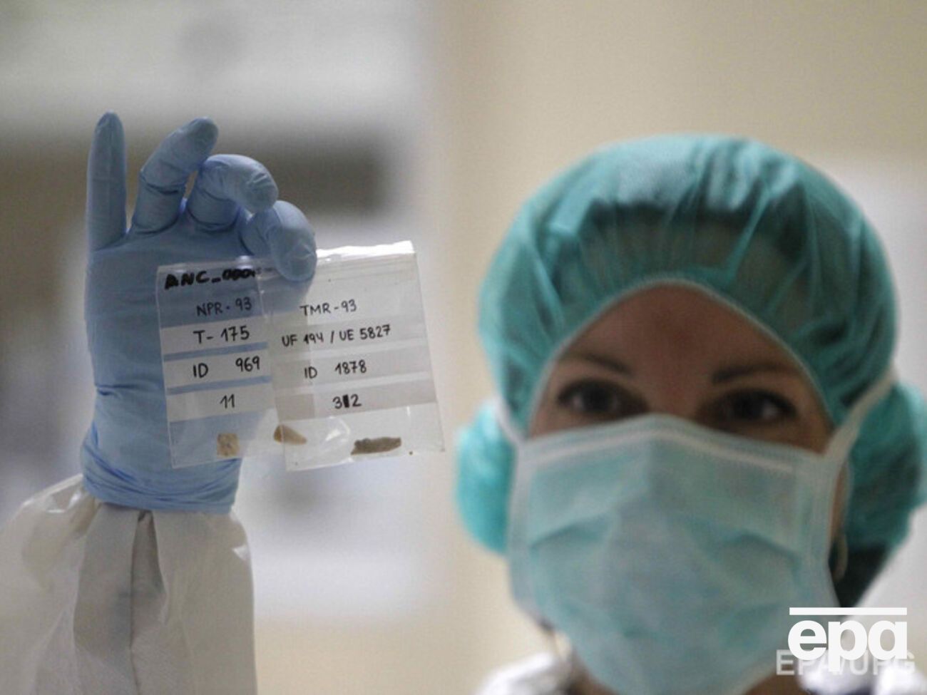 Ученые смогут модифицировать эмбрионы человека