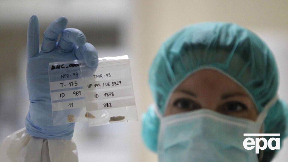 Ученые смогут модифицировать эмбрионы человека