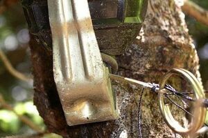 В 2015 году в результате подрывов на растяжках, минах и других неизвестных взрывных устройствах в Донецкой области погибли 25 мирных жителей и были ранены 70