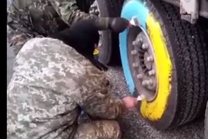 Российскому дальнобойщику раскрасили колесо в цвета украинского флага