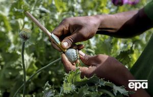 По данным ООН, запрещенные наркотики употребляют 5% населения планеты в возрасте от 15 до 64 лет