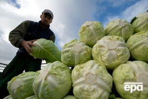 В России могут запретить ввоз турецкой капусты
