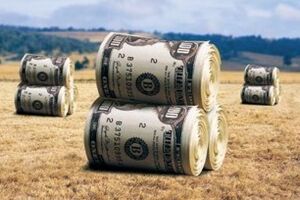Министры иностранных дел Франции и Германии приедут в Украину