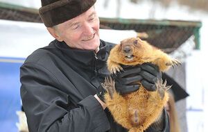 Тимка не смог увидеть свою тень