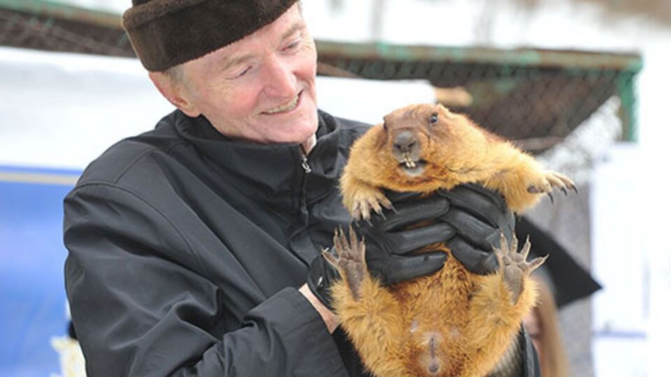 Тимка не смог увидеть свою тень