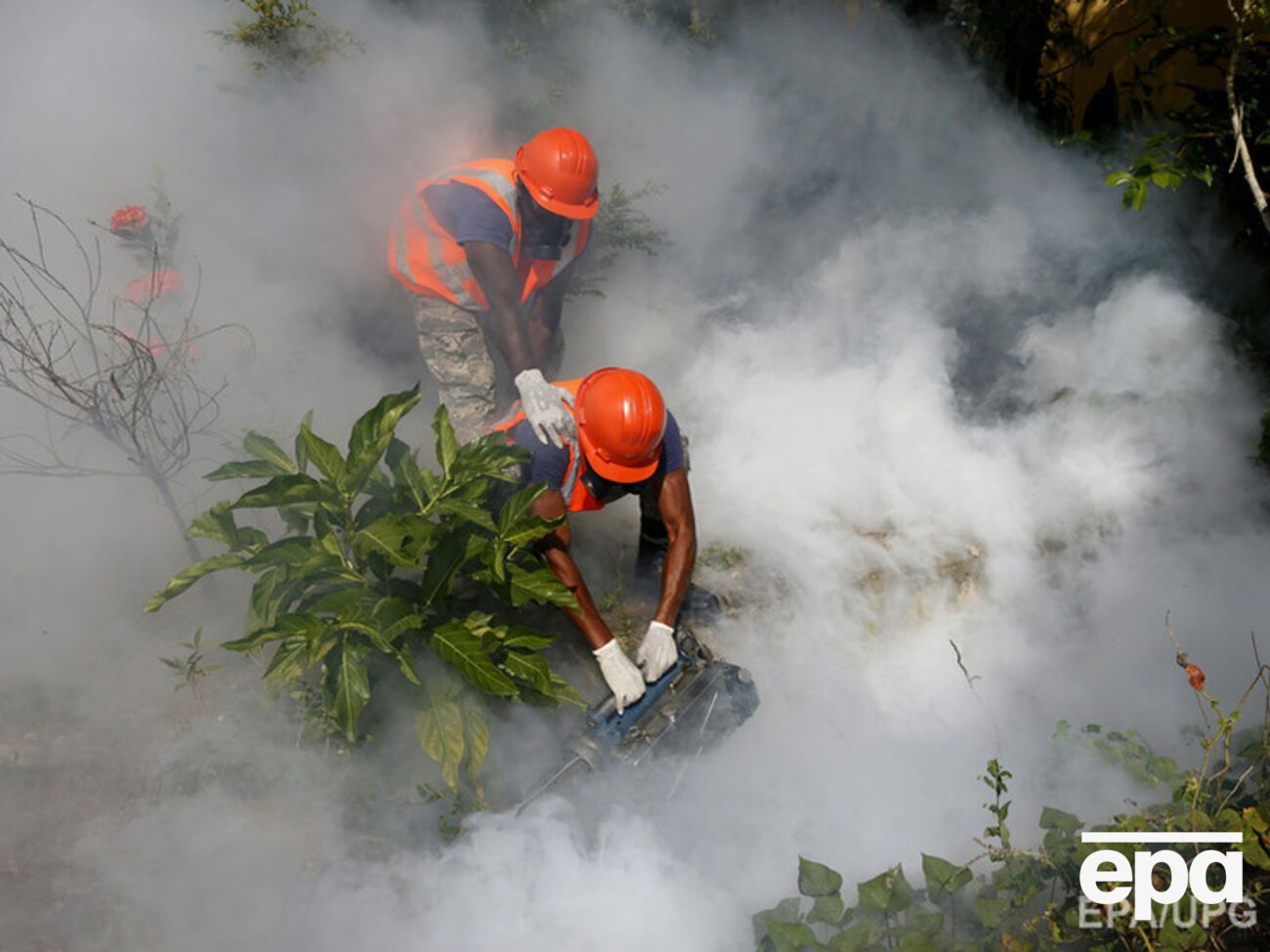 В Гондурасе усилена координация профилактических мер против распространения вируса Зика