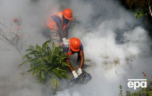 В Гондурасе усилена координация профилактических мер против распространения вируса Зика