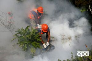 В Гондурасе усилена координация профилактических мер против распространения вируса Зика